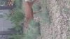 20150616_203535_HDR.jpg