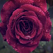 Rosey <3