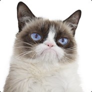 MattTheCat