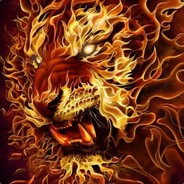 Fireofthetiger