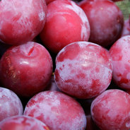 Plums_are_scums