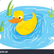 Duck Pond