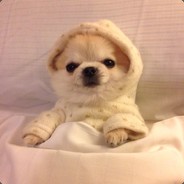 Pupperz