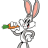 rbbtboy